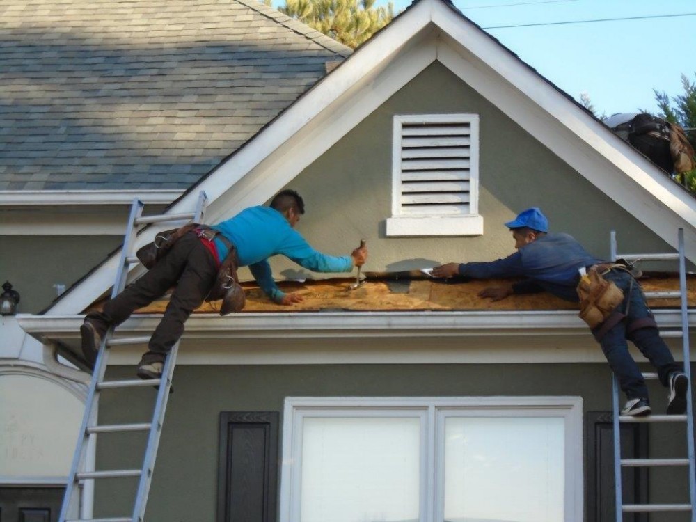Photo By The Roof Clinic. 
