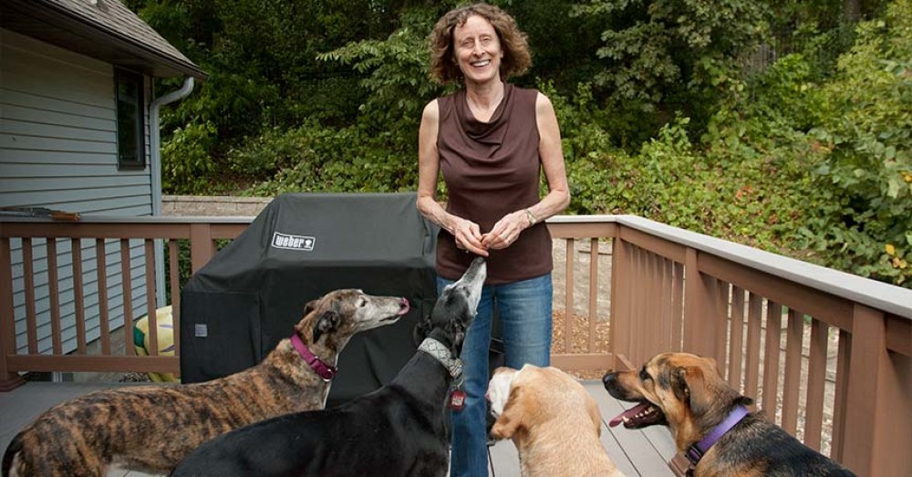 Photo By Bridgewater Construction LLC. These Stairs Are For The Dogs