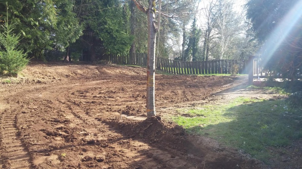 Photo By Oregon Demolition. Pool Demolition In Portland, OR 97221