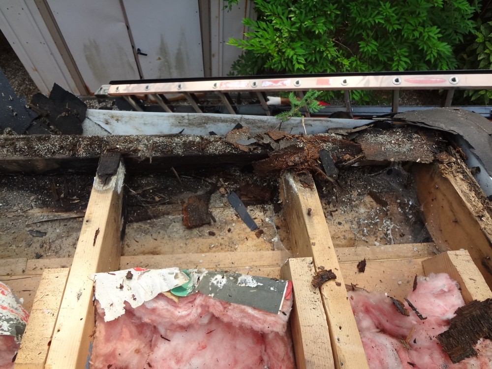 Photo By BRAX Roofing. Roof Replacement 