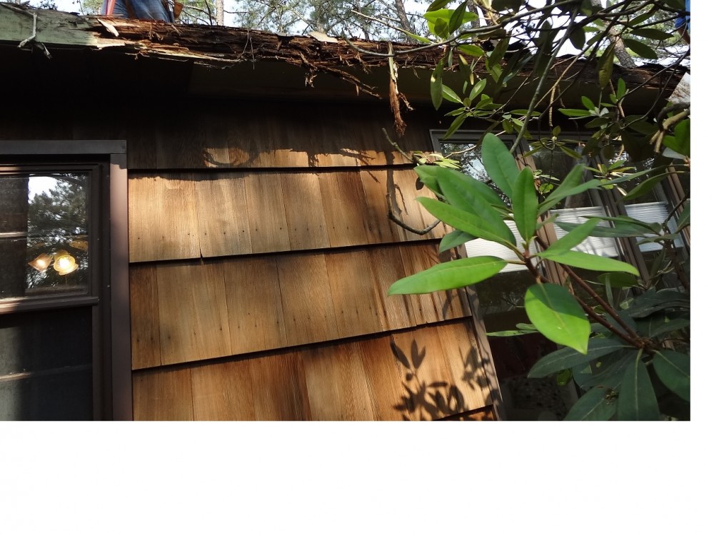 Photo By BRAX Roofing. Roof Replacement 