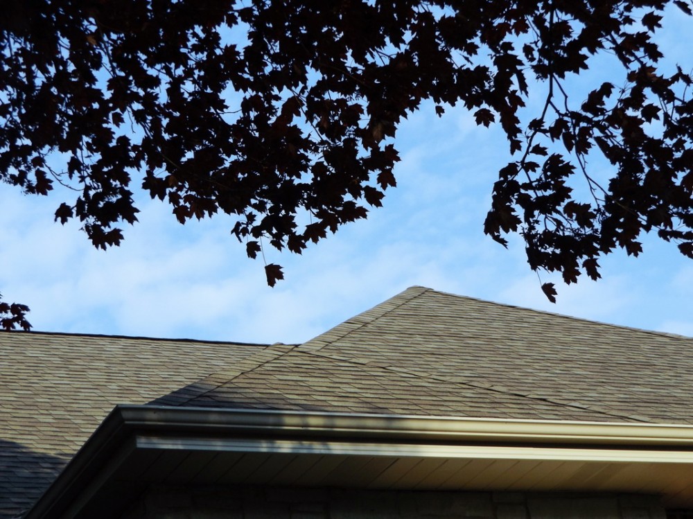 Photo By Pro Home 1. Roofing Jobs By Pro Home 1 Photo By Pro Home 1. Roofing Jobs By Pro Home 1