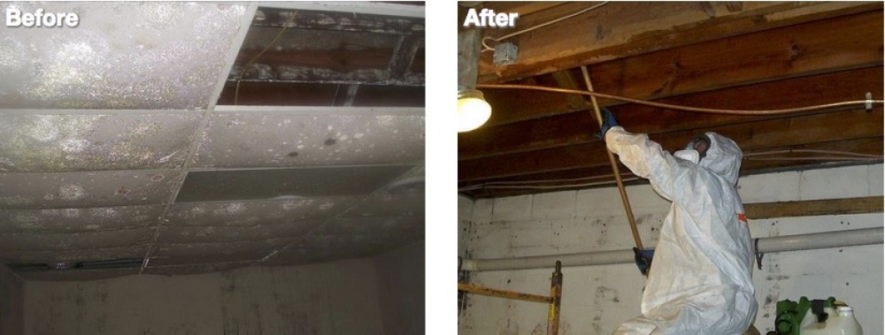 Photo By Servpro Of North Knoxville. Before & After Photos 