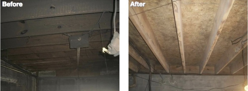 Photo By Servpro Of North Knoxville. Before & After Photos 