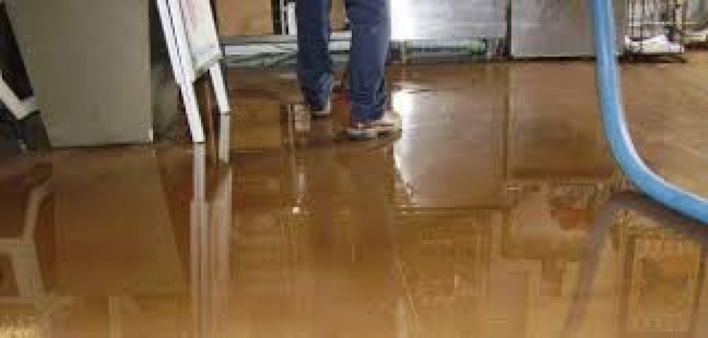 Photo By Dry-Tech Water Damage Restoration  Services. 