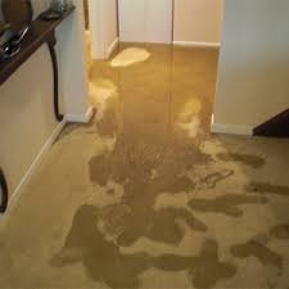 Photo By Dry-Tech Water Damage Restoration  Services. 
