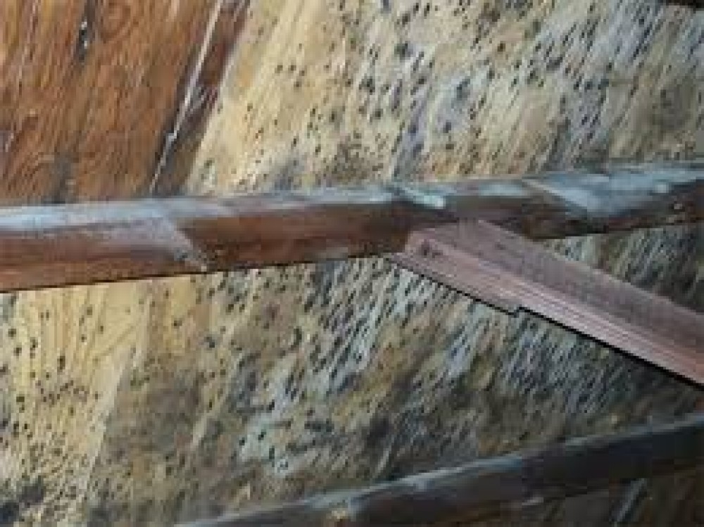 Photo By Dry-Tech Water Damage Restoration  Services. 