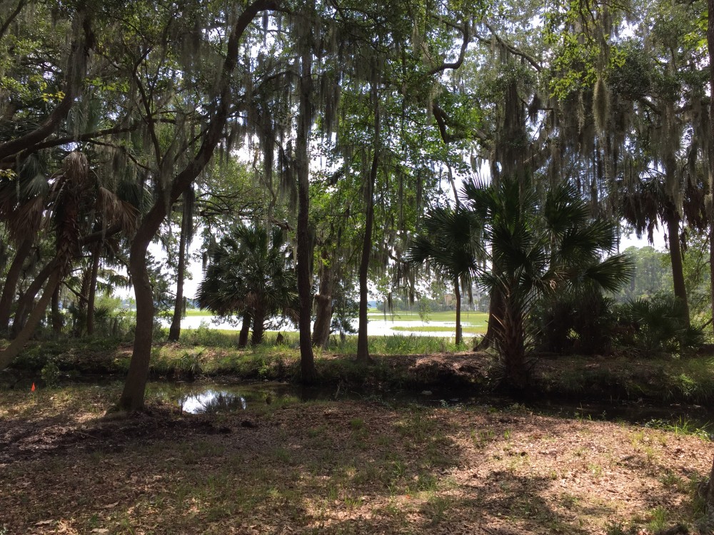 Photo By Gavigan Construction. The Islands Of Beaufort's Newest Innovation Custom Home