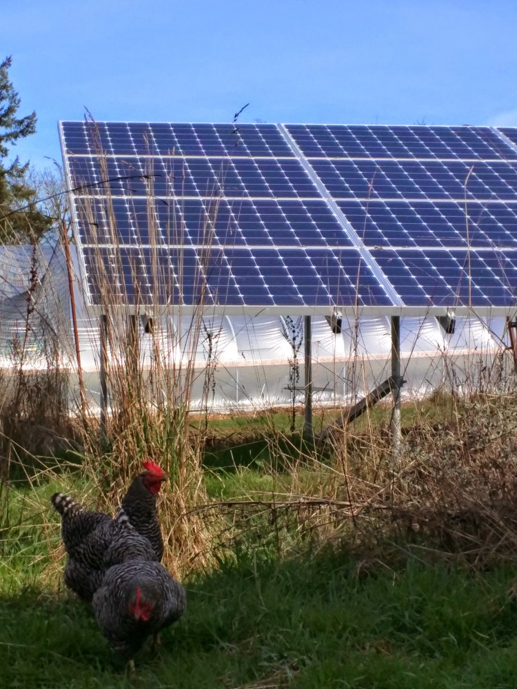 Photo By Sunbridge Solar, LLC. 