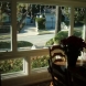 Photo by Door and Window Plus. Windows and Patio Doors - thumbnail