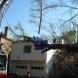 Photo by 404-CUT-TREE. Tree removal - thumbnail