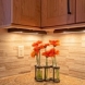 Photo by Quality Renovations & Home Services, LLC. Kitchen & Living Room Remodel - thumbnail