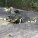 Photo by Weathersafe Restoration Inc.. Storm Damage - thumbnail