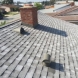 Photo by Remodel USA Torrance CA. Owens Corning Roofs - thumbnail