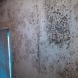 Photo by Dry-Tech Water Damage Restoration  Services. Mold Remediation Services - thumbnail