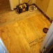 Photo by Carolina Water Damage Restoration. Sewage Backup in Raleigh, NC - thumbnail