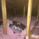 Photo by BRAX Roofing. Attic insulation  - thumbnail