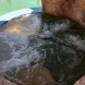 Photo by Premier Pools & Spas of San Diego.  - thumbnail