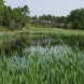 Photo by St. James Plantation. 81 Holes of Championship Golf at St. James Plantation - thumbnail