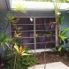 Photo by NewSouth Window Solutions. Tropical Garden - thumbnail