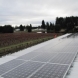 Photo by Sunbridge Solar, LLC. WA - Berry Best Farms - thumbnail