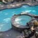 Photo by Parrot Bay Pools. Parrot Bay - thumbnail