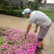 Photo by Green Valley Irrigation Ltd.. Green Valley Irrigation Ltd. - thumbnail