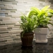 Photo by Attention to Detail Home Remodeling. Kitchen Remodel - thumbnail