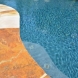 Photo by Parrot Bay Pools. Cox Project - thumbnail