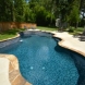 Photo by Parrot Bay Pools. Dreher Project - thumbnail