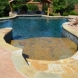 Photo by Parrot Bay Pools. Hampel Project - thumbnail