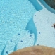 Photo by Parrot Bay Pools. Miller Project - thumbnail