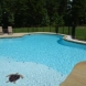 Photo by Parrot Bay Pools. Miller Project - thumbnail
