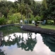 Photo by Guardian of The Waters. Pools & Ponds - thumbnail