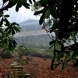 Photo by Addison Homes. Award-Winning Caesars Head Cabin - thumbnail