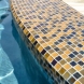 Photo by Parrot Bay Pools. Henry Project - thumbnail