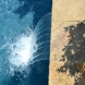 Photo by Parrot Bay Pools. Smitheart Project - thumbnail