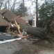 Photo by E-Z Tree Care and Removal Service - South Jersey. Tree Service South Jersey - thumbnail