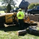 Photo by E-Z Tree Care and Removal Service - South Jersey. Tree Service South Jersey - thumbnail