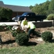 Photo by E-Z Tree Care and Removal Service - South Jersey. Tree Service South Jersey - thumbnail