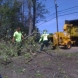 Photo by E-Z Tree Care and Removal Service - South Jersey. Tree Service South Jersey - thumbnail