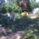 Photo by E-Z Tree Care and Removal Service - South Jersey. Tree Service South Jersey - thumbnail