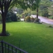 Photo by E-Z Tree Care and Removal Service - South Jersey. Tree Service South Jersey - thumbnail