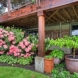 Photo by Powell Homes & Renovations. Deck Renovation - thumbnail