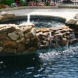 Photo by Gold Medal Pools & Outdoor Living. Spas - thumbnail