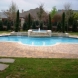 Photo by Gold Medal Pools & Outdoor Living. Straight Line Pools - thumbnail