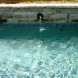 Photo by Gold Medal Pools & Outdoor Living. Water Features - thumbnail