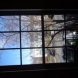 Photo by BRAX Roofing. Window replacement  - thumbnail