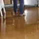 Photo by Dry-Tech Water Damage Restoration  Services.  - thumbnail