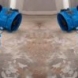 Photo by Dry-Tech Water Damage Restoration  Services.  - thumbnail